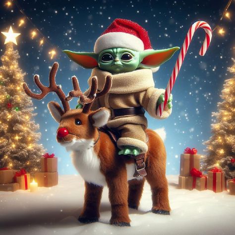 Yoda Pictures, December Pictures, Winter Humor, Yoda Images, Yoda Funny, Xmas Pjs, Christmas Wallpaper Backgrounds, Grumpy Cat Humor, Halloween Door Decorations