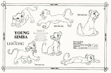 The Lion King Model Sheets ~ Young Simba Young Simba, Lion King Drawings, The Lion King 1994, Walt Disney Characters, Il Re Leone, Lion King Art, Disney Concept Art, Disney Sketches, Walt Disney Animation