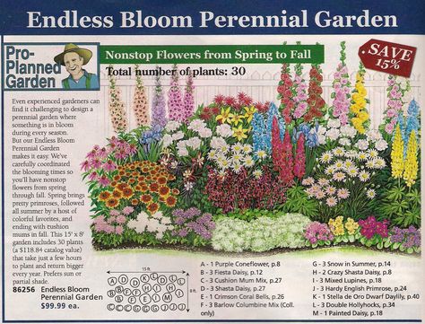 Perennial bed plan from Michigan Bulb Co., west garden Perennial Garden Plans, Garden Front Of House, Backyard Flowers Garden, Flower Garden Plans, Backyard Flowers, Garden Plan, Garden Design Layout, Garden Wallpaper, Flower Garden Design