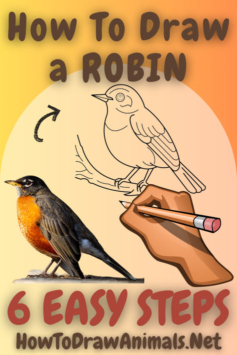 Step-by-step tutorial for drawing a robin - ideal for beginner and advanced artists! How To Draw A Robin Step By Step, How To Draw A Robin, How To Draw Birds Step By Step Simple, How To Draw Birds Easy, Drawing Birds Easy, Robin Bird Illustration, Drawings Of Birds, Robin Illustration, Robin Drawing