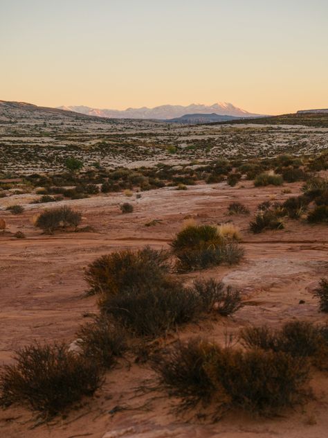 An HD photo of the beautiful soft light of sunrise in the desert of southern Utah.  Interested in another photo from my website coleudall.com? Send me a message on here or Instagram @coleudall and let me know! Desert Western Aesthetic, Western Desert Aesthetic, California Desert Aesthetic, Boho Pictures, Southwest Aesthetic, Aesthetic Desert, Tennessee Photography, Desert Photos, Desert Nature