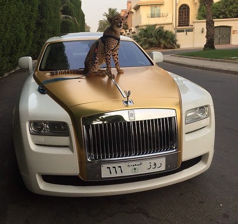 Goals Auto Rolls Royce, Happy Inspiration, Luxury Boat, Luxury Cars Rolls Royce, Glamour Style, Lux Cars, White Car, Best Luxury Cars, Fancy Cars