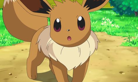 What Kind Of Animal Is Eevee? Decoding The Origins Of The Pokemon Wonder Evoluzioni Eevee, Sun Pokemon, Pokemon Halloween Costume, Pokemon Facts, Halloween Costumes You Can Make, Easy Pokemon, Eevee Cute, Pikachu Pikachu, Pokemon Costumes