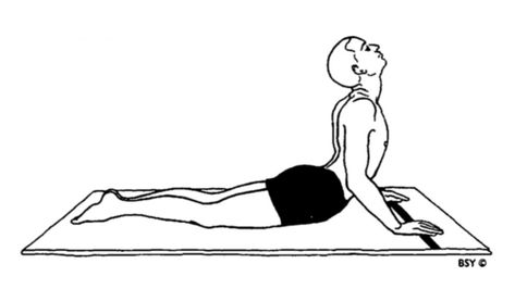 Bhujangasana - Cobra Pose In Yoga - World Yoga Forum Bhujangasana Pose, Cobra Pose Yoga, Yoga Background, Body Diagram, Yoga World, Cobra Pose, Yoga Asanas, Yoga Benefits, Yoga Videos