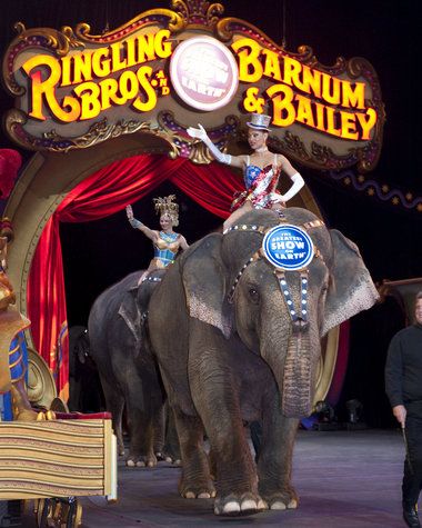 Ringling Bros and  Barnum & Bailey Elephant Ringling Brothers Circus, Cirque Vintage, Circus Tickets, Vintage Circus Posters, Barnum Bailey Circus, Ringling Brothers, Circus Sideshow, Circus Train, Circus Maximus