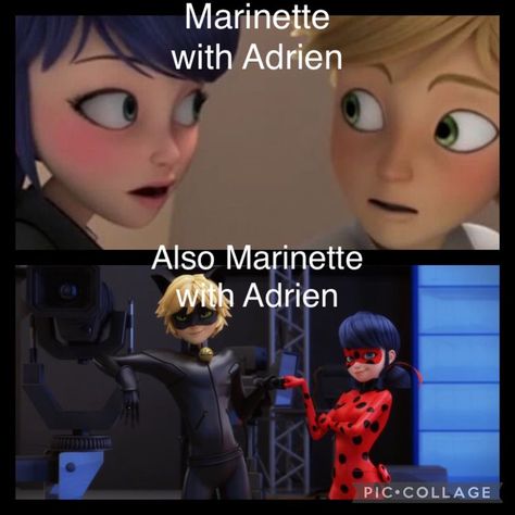 Catnoir And Ladybug, Marinette Et Adrien, Miraculous Memes, Miraculous Ladybug Oc, Funny Disney Jokes, Miraculous Ladybug Memes, Miraculous Ladybug Fanfiction, Marinette And Adrien, Miraculous Characters