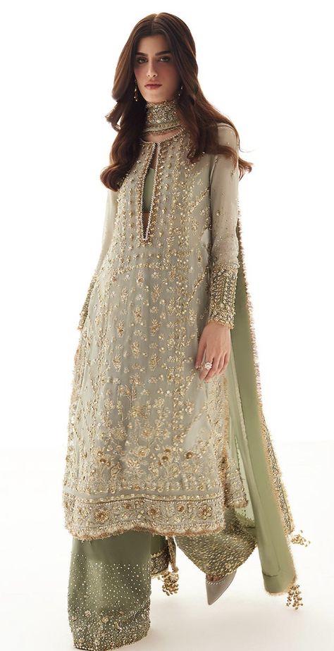 Chiffon Suit, Pakistani Fashion Casual, Bride Sister, Pakistani Fancy Dresses, Desi Clothes, Traditional Indian Outfits, Bridal Dress Fashion, Pakistani Bridal Dresses, Simple Pakistani Dresses