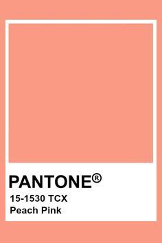 Walls And Ceiling Same Color, Reflecting Pond, Withered Rose, Pink Yarrow, Peach Walls, Red Desert, Cadmium Yellow, Ice Palace, Pantone Palette