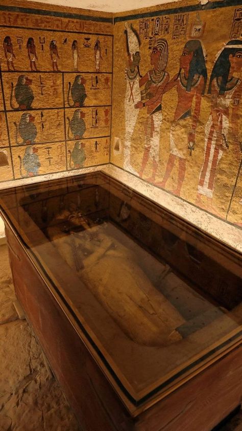 Ancient Egypt Aesthetic, King Tut Tomb, Starověký Egypt, Egypt Aesthetic, Ancient Egypt History, Egyptian Pharaoh, Ancient Egyptian Gods, Valley Of The Kings, Egypt History