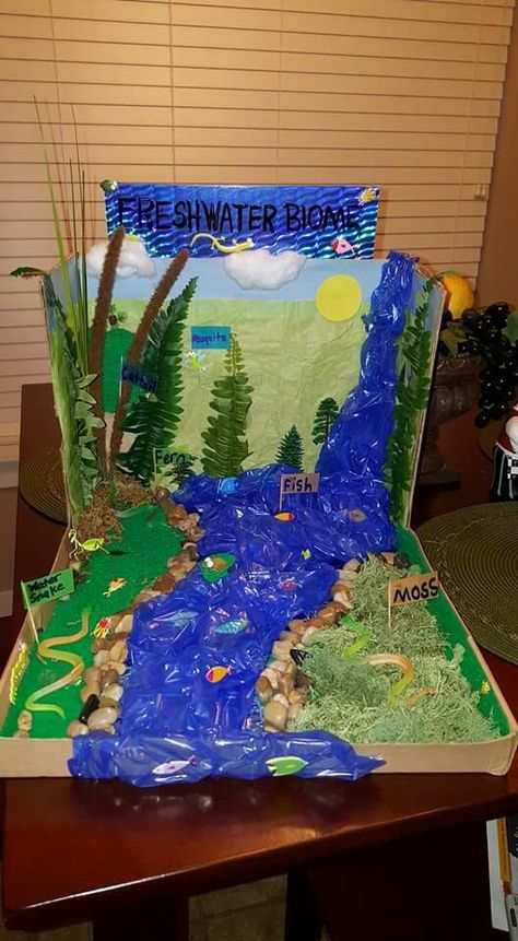 Our 3rd Grade Biome (Freshwater) Shoebox Project for school. I think it turned out pretty ok!!  ☺ Freshwater Biome Shoebox Project, Freshwater Ecosystem Project, Fresh Water Biome Project Ideas, Freshwater Biome Project, Freshwater Diorama, Biome Project Ideas, River Diorama, Wetland Biome, Ecosystems Diorama