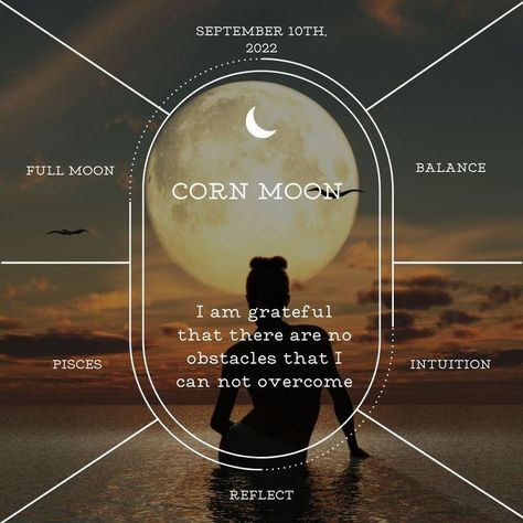 Corn Moon in Pisces September 10th, 2022 Corn Moon, Moon Names, Welcome Autumn, Happy September, Magick Spells, I Am Grateful, The Seasons, Journal Prompts, Say Goodbye