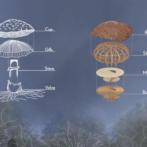 Portobello Mushroom, High Rise Building, Portobello, The Rings, The Land, Stuffed Mushrooms, High Rise, Villa, Building