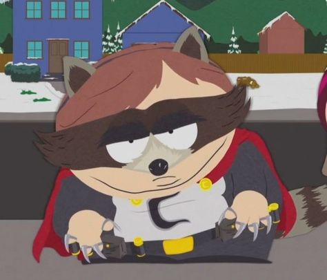 Cartman Raccoon, South Park Funny, Eric Cartman, South Park Characters, Park Pictures, Man Child, Racoon, South Park, Painted Rocks