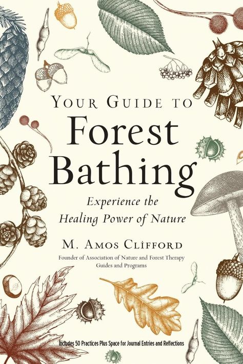 In Your Guide to Forest Bathing, you’ll discover a path that you can use to begin a practice of your own that includes specific activities presented by Amos Clifford, one of the world’s most experienced forest bathing experts. Healing Power Of Nature, Fully Alive, Forest Bathing, For Journal, Power Of Nature, Inspirational Books To Read, Forest School, Healing Power, Journal Entries