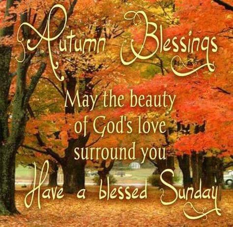 Autumn Blessings Blessed Sunday Morning, Saturday Blessings, Sunday Morning Quotes, Sunday Greetings, Have A Blessed Sunday, Good Sunday Morning, Blessed Sunday, Happy Sunday Quotes, Good Morning Beautiful Images