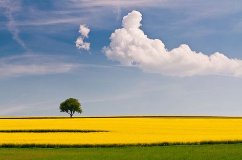 Dream Clouds, Landscape Pics, 숲 사진, Peisaj Abstract, Yellow Field, Fotografi Digital, Beautiful Landscape Photography, Landscape Photography Tips, Digital Photography School