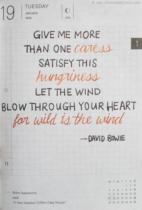 David Bowie Lyrics, David Bowie Quotes, Bowie Quotes, Musical Quotes, Wild Is The Wind, 90 Songs, Bowie Art, Aladdin Sane, Hobonichi Techo