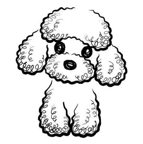 Toy Poodle Drawing Easy, Poodle Drawing Easy, Poodle Painting, Poodle Illustration, Painting Clipart, Dogs Watercolor, Dog Illustration Art, Poodle Drawing, Dog Drawing Simple