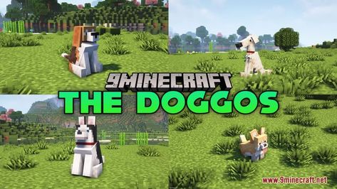 Minecraft Dog, Minecraft Dogs, Bull Terriers, Texture Packs, Dog Breeds, Minecraft, Real Life, Bulldog, The Past