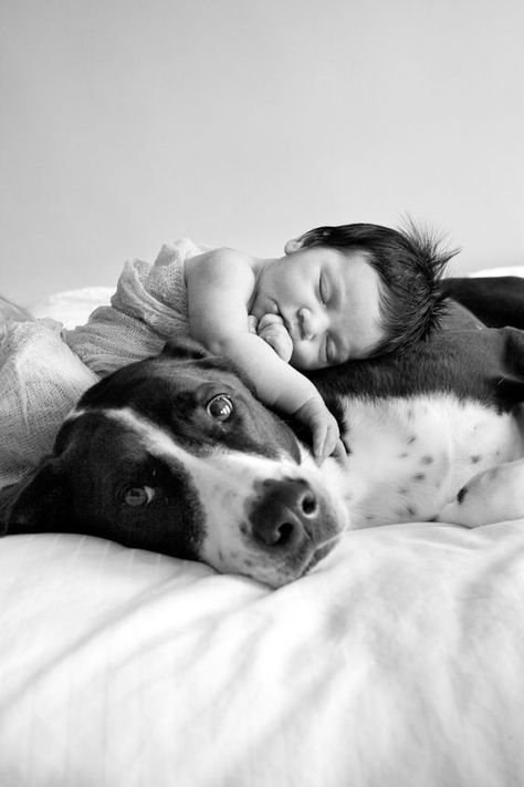 Newborn And Dog, Newborn Family Pictures, Foto Newborn, Newborn Photography Boy, Baby Pictures Newborn, Newborn Family Photos, Newborn Photography Poses, Dog Photoshoot, Baby Poses