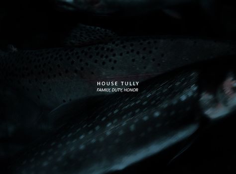 House Tully Tully Aesthetic, Family Duty Honor, Tully House, House Tully, Daenerys And Jon, A Clash Of Kings, Beneath The Sea, The Longest Night, House Aesthetic