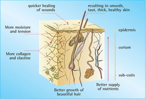 For most silica products, the size of the silica particle is the limiting factor in their absorption and therefore effectiveness. The active ingredient for Original Body Essential silicea Gel is manufactured at Huebners own private laboratories. This is done under the highest supervision and at the highest level of quality control using the best premium … Continue reading "How Silica helps the Skin" Silica Supplements, Healthy Beauty, Grow Hair, The Skin, Active Ingredient, Natural Skin, Health Benefits, Healthy Skin, Beautiful Hair