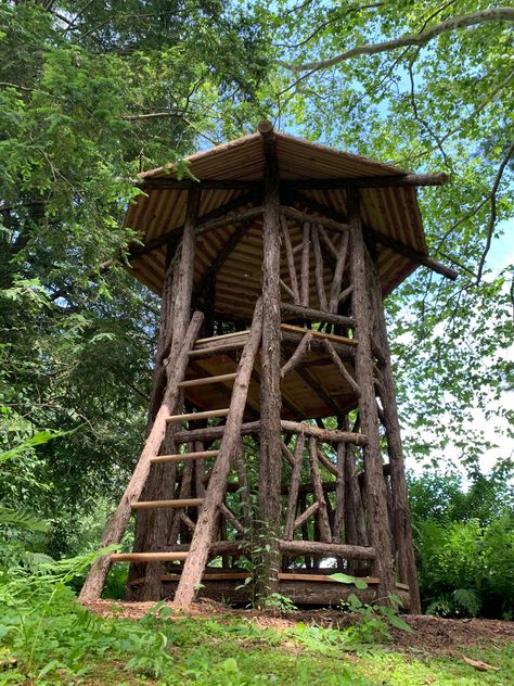 Cedar Tree Crafts, Eastern Red Cedar Tree, Red Cedar Tree, Play Fort, Eastern Red Cedar, Rustic Outdoor Furniture, Laurel Tree, Tree House Plans, Tree Fort