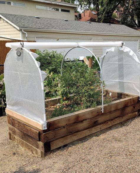 Winter Gardening Colorado Gardening In Colorado, Cucumber Garden Trellis, Salads Cucumber, Cucumber Garden, Colorado Gardening, Cucumber Gardening, Cold Frame Gardening, Hoop House, Winter Gardening