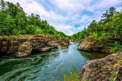 Mountain Forest, Sea Level Rise, Human Activity, Forest Landscape, River Rock, Free Photos, Cool Photos, Photo Image, Royalty Free Stock Photos