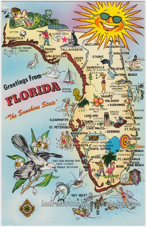 Cute to frame Florida Postcard, Florida Map, Florida Sunshine, Postal Vintage, Map Of Florida, Anna Maria Island, Destin Florida, Old Florida, Vintage Florida