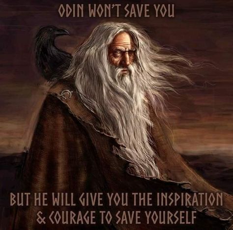 Odin Norse Mythology, Halls Of Valhalla, Viking Quotes, Viking Shop, Odin Thor, Pagan Gods, Norse Myth, Viking Life, Norse Symbols