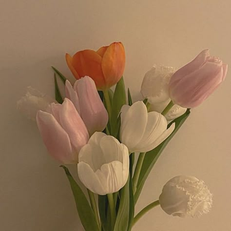 Flowers 🌺 on Twitter: "… " Danish Pastel Aesthetic, Orange Tulips, Aesthetic Pretty, Nothing But Flowers, Flowers Beautiful, Pastel Aesthetic, Love Flowers, My Flower, Pretty Flowers