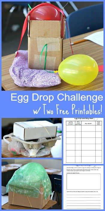 Egg Drop Challenge, Egg Drop Project, Stem Activity For Kids, Fun Stem Activities, Steam Challenges, Stem Projects For Kids, Listening Center, Engineering Activities, Stem Lesson