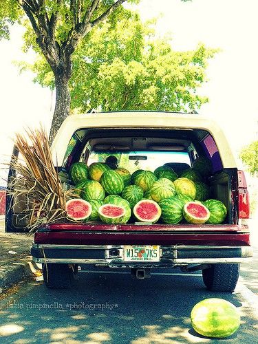 Watermelon from a pick up truck I Need Vitamin Sea, Summer Watermelon, Down On The Farm, A Truck, Summer Breeze, Southern Style, Endless Summer, Summer Of Love, Country Living