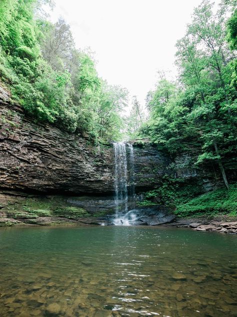 Cloudland Canyon State Park (complete guide) | Chris & Sara Georgia State Parks, Cloudland Canyon, Downtown Chattanooga, Waterfall Trail, Hang Gliding, Lookout Mountain, Swimming Holes, Outdoor Fun, Over 60