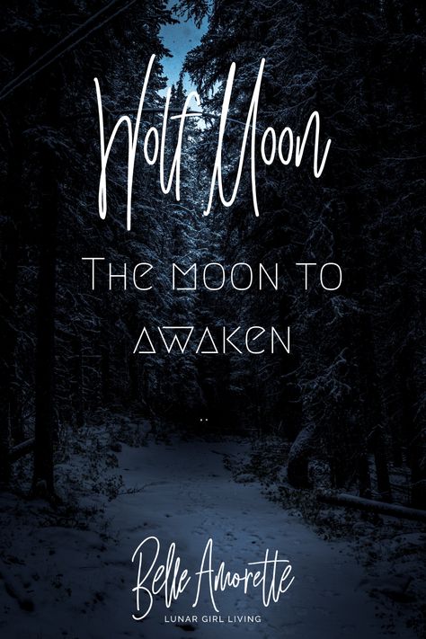 How to use the Energy of the moon in January. The January Wolf Moon is a time to explore within and reflect on the past year. Learn more about the Wolf Moon, its meaning and how to tap into this energy + Moon Activities we can try throughout the month! January Full Moon Ritual, Wolf Full Moon Ritual, Wolf Moon Ritual, Wolf Moon Art, January Full Moon, January Moon, Moon Madness, Moon Activities, Spiritual Tips