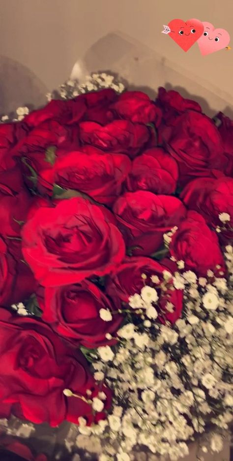 My roses [Video] | Flowers instagram, Flower photoshoot, Cute selfies poses Fake Valentines Story, Flowers From Boyfriend Instagram Story, Date Night Fake Story, Roses From Boyfriend, Roses Fake Story, Date Night Flowers, Flowers From Boyfriend, Bouquet Saint Valentin, Valentines Day Video