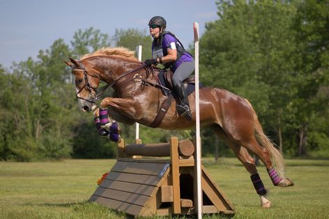 Horse Riding Cross Country, Cross Country Jumps Equestrian, Cross Country Horses, Xc Horse, Crosscountry Horse, Horse Cross Country, Cross Country Pictures, Eventing Cross Country, Cross Country Jumps