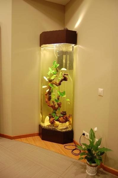 Aquriam Ideas Home, Corner Aquarium, Unique Fish Tanks, Aquarium Coffee Table, Wall Aquarium, Amazing Aquariums, Cool Fish Tanks, Fish Tank Design, Colourful Living Room Decor