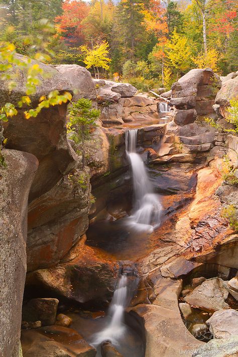 Screw Auger Falls, Maine | Living Wilderness Nature Photography Maine Wilderness, Bethel Maine, Maine Fall, Hawaii Living, Tahquamenon Falls, Herring Gull, Rock Waterfall, Maine Living, Maine Travel