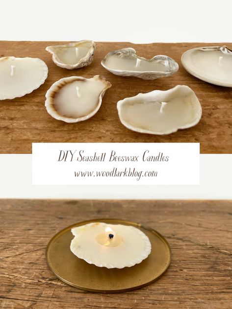 DIY Seashell Beeswax Candles – Woodlark Blog Woodlark Blog, Shell Candles Diy, Making Beeswax Candles, Beeswax Candles Diy, Pyrex Measuring Cup, Insta Reel, Shell Candles, Kitchen Island With Seating, Shell Collection