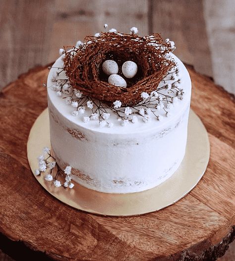 Birds Nest Cake, Nesting Party Ideas, Bird Theme Cake, Bird Nest Cake, Trunk Cake, Tree Trunk Cake, Nesting Party, Nest Cake, Chocolate Nests