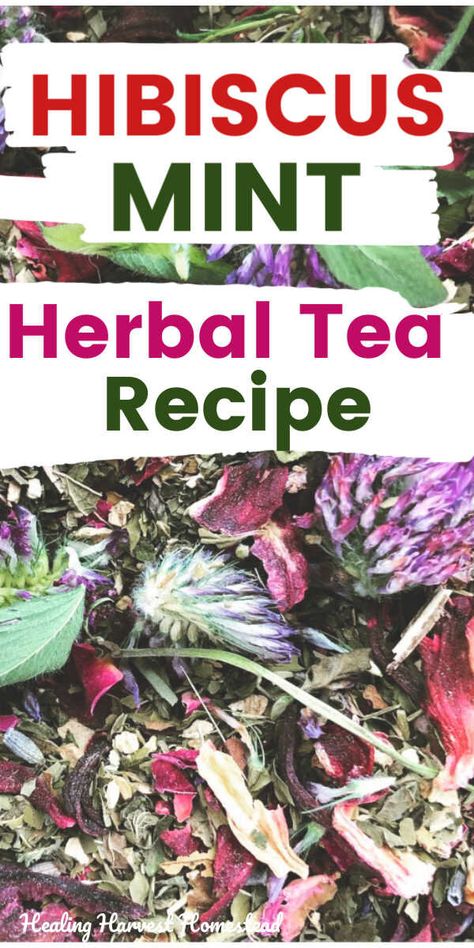 Summer Herbal Tea, Herbal Tea Recipes Homemade, Mint Tea Recipe, African Herbs, Tea Blends Recipes, Herbal Tea Benefits, Recipe For Summer, Healing Tea, Homemade Tea