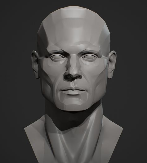 Male Head Anatomy Reference, Head Plane, Portrait Planes Faces, Male Head Reference, Asaro Head Planes, Male Head Anatomy, Planar Head, Simplified Face Planes, Planes Of The Head