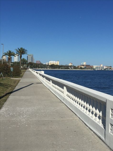 Bayshore Blvd. Tampa, Fl. Tampa Aesthetic, Tampa Downtown, Vintage Tampa Florida, Cousins Beach, Bayshore Blvd Tampa, Florida Baby, Usa Summer, Southern Boutique, The Florida Aquarium Tampa