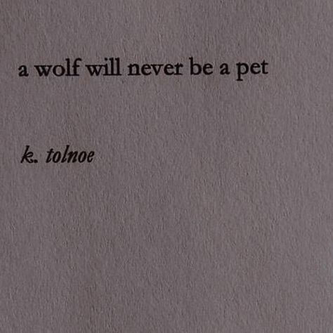 Pirate Aesthetics, Lux Aesthetic, Indigo Eyes, The Heist, Michael Williams, 8th Sign, Wattpad Books, A Wolf, Quotes That Describe Me