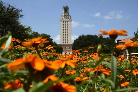 Ut Austin Campus, Usa University, Turtle Pond, Campus Map, Ut Austin, University Of Texas At Austin, Campus Life, Flowers Photo, Pedestrian Bridge