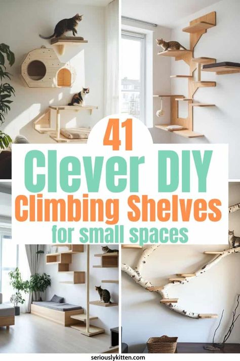 Diy Cat Climbing, Shelves For Small Spaces, Diy Cat Shelves, Diy Climbing Wall, Floating Cat Shelves, Natural Shelves, Cat Climbing Shelves, Cat Climbing Wall, Diy Space Saving