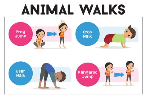 In this activity, children will choose an animal walk from a set of cards that picures and describes the walk. This activity should be done in a large open space giving the children the opportunity to move freely. Examples of the different walks include Bear Walks, Crab Walks, Frog Jumps and Donkey Kicks. Gross Motor Skills #1: MA Guidelines for Pre-K Learning, Physical Activities and Fitness: provide opportunities to explore movement and balance in structured and unstructured settings. Animal Walks Occupational Therapy, Animal Walks For Kids, Animal Walks, Occupational Therapy Goals, Therapy Goals, Occupational Therapy Kids, Yoga Poses For Two, Pediatric Physical Therapy, Sensory Diet