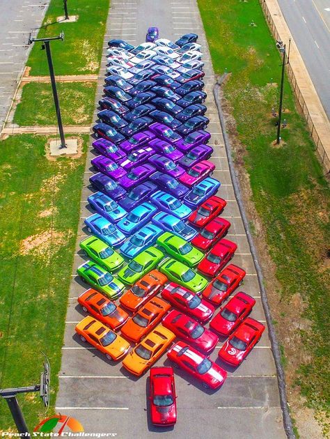 76 Colorful Dodge Challengers Line Up to Create a Beautiful Car Rainbow in Georgia Organized Things, Satisfying Photos, Satisfying Pictures, Images Disney, Awesome Cars, Most Satisfying, Oddly Satisfying Videos, Weird Stuff, Oddly Satisfying